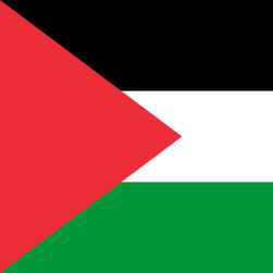 Palestine Flag